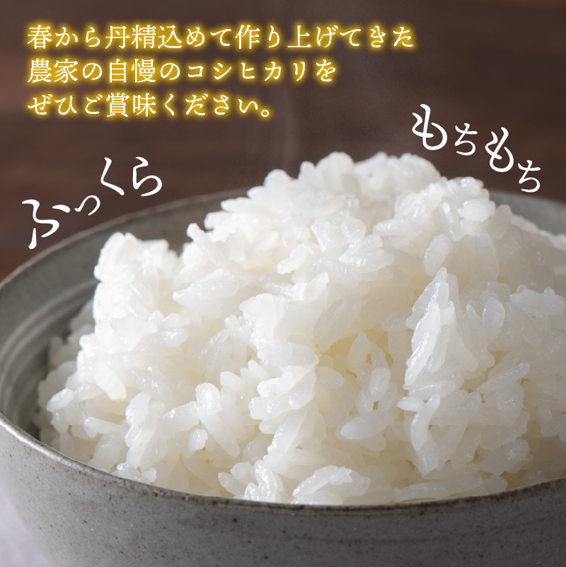 【先行予約】《定期便3回》家事をもっと楽に！ 令和8年産 新米コシヒカリ定期便（精米）10kg×3回（計30kg）※2026年10月上旬以降順次発送予定