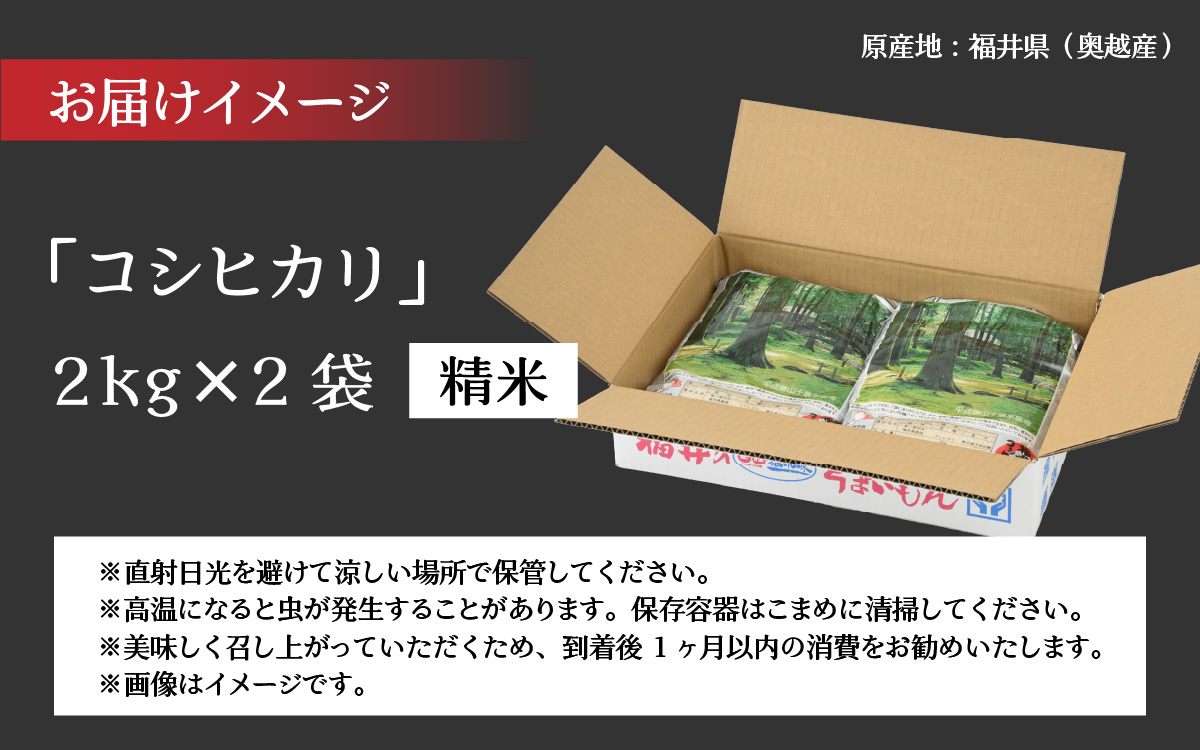 令和8年産 福井県産奥越コシヒカリ2kg ×2袋(計 4kg) / こしひかり お米 米 こめ ブランド米 精米 白米 国産 福井県産 勝山市