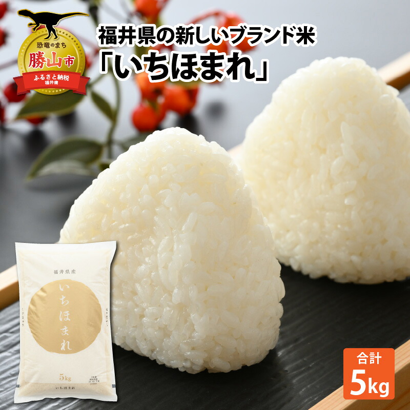 令和8年産 福井県の新しいブランド米 いちほまれ5kg ×1袋 / いちほまれ お米 米 こめ ブランド米 精米 白米 国産 福井県産 勝山市