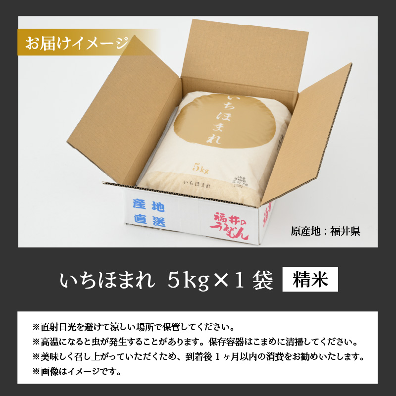 令和8年産 福井県の新しいブランド米 いちほまれ5kg ×1袋 / いちほまれ お米 米 こめ ブランド米 精米 白米 国産 福井県産 勝山市