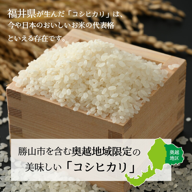 令和8年産 福井県産奥越コシヒカリ5kg ×1袋 / こしひかり お米 米 こめ ブランド米 精米 白米 国産 福井県産 勝山市
