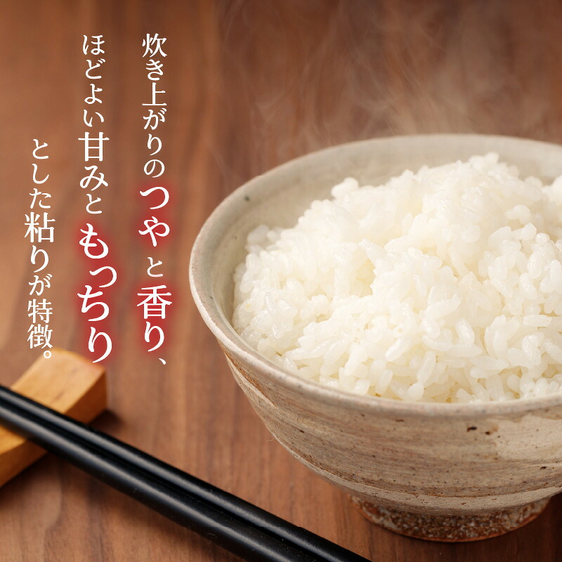 令和8年産 福井県産奥越コシヒカリ5kg ×1袋 / こしひかり お米 米 こめ ブランド米 精米 白米 国産 福井県産 勝山市