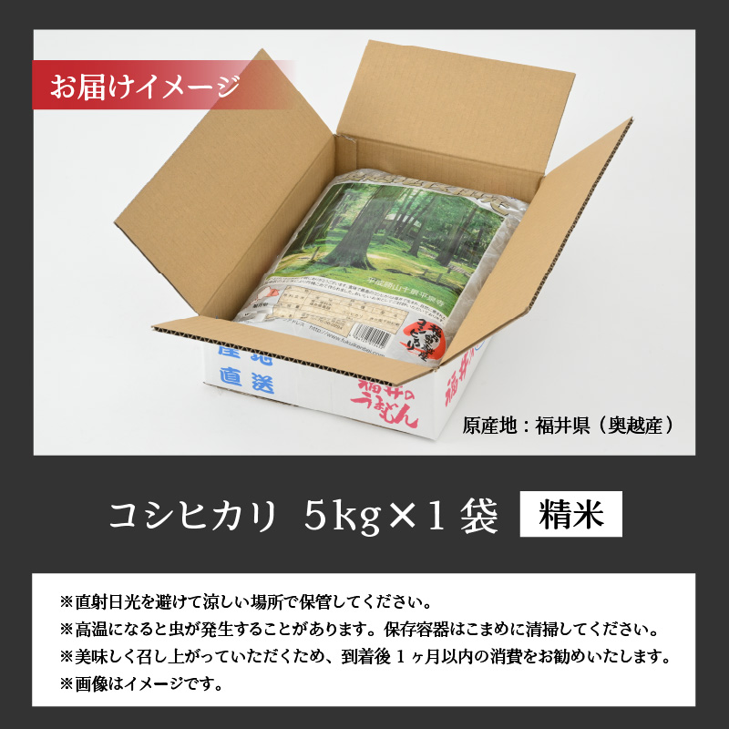 令和8年産 福井県産奥越コシヒカリ5kg ×1袋 / こしひかり お米 米 こめ ブランド米 精米 白米 国産 福井県産 勝山市