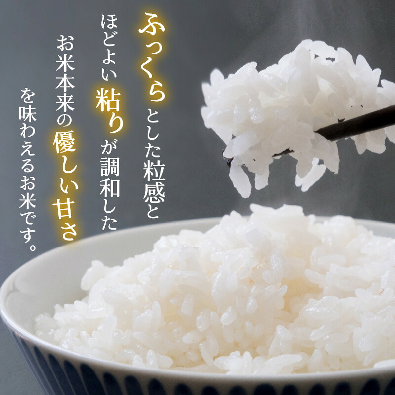 令和8年産 福井県の新しいブランド米 いちほまれ5kg ×2袋（計 10kg）いちほまれ お米 米 こめ ブランド米 精米 白米 国産 福井県産 勝山市  [D-015019]