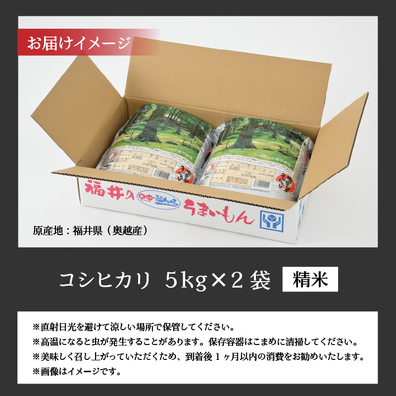令和8年産 福井県産奥越コシヒカリ5kg ×2袋（計 10kg）こしひかり お米 米 こめ ブランド米 精米 白米 国産 福井県産 勝山市 [D-015020]