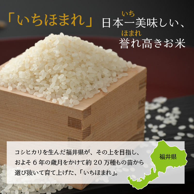 【3ヶ月連続定期便】令和8年産 福井県の新しいブランド米 いちほまれ5kg ×1袋(5kg × 3ヶ月) / いちほまれ 定期便 お米 米 こめ ブランド米 精米 白米 国産 福井県産 勝山市