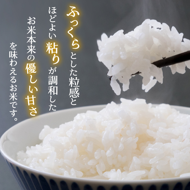 【3ヶ月連続定期便】令和8年産 福井県の新しいブランド米 いちほまれ5kg ×2袋（10kg × 3ヶ月） / いちほまれ 定期便 お米 米 こめ ブランド米 精米 白米 国産 福井県産 勝山市