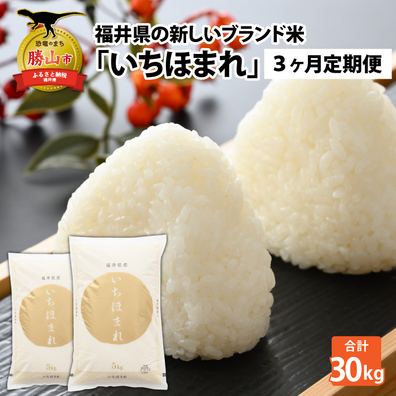 【3ヶ月連続定期便】令和8年産 福井県の新しいブランド米 いちほまれ5kg ×2袋（10kg × 3ヶ月） / いちほまれ 定期便 お米 米 こめ ブランド米 精米 白米 国産 福井県産 勝山市