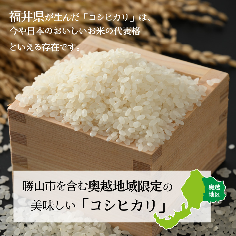 【3ヶ月連続定期便】令和8年産 福井県産奥越コシヒカリ5kg ×1袋（5kg × 3ヶ月） / こしひかり 定期便 お米 米 こめ ブランド米 精米 白米 国産 福井県産 勝山市