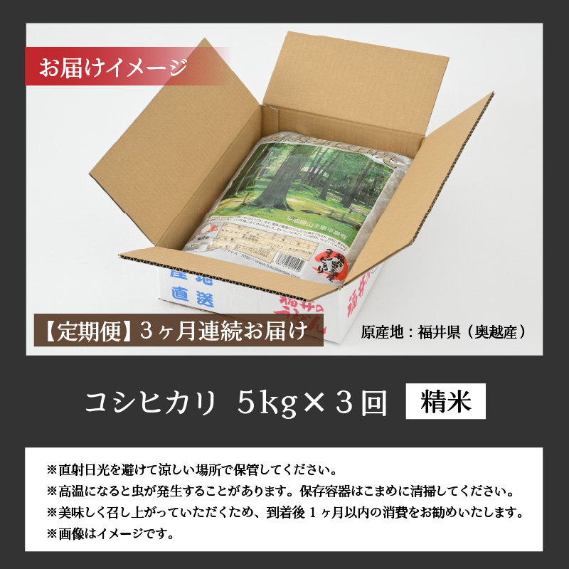 【3ヶ月連続定期便】令和8年産 福井県産奥越コシヒカリ5kg ×1袋（5kg × 3ヶ月） / こしひかり 定期便 お米 米 こめ ブランド米 精米 白米 国産 福井県産 勝山市