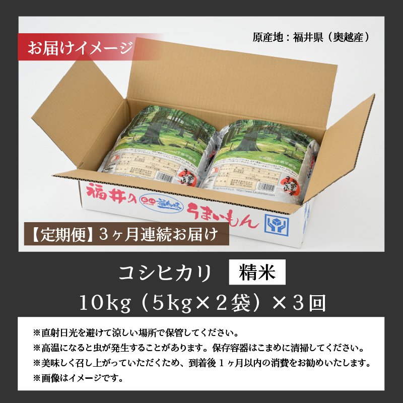 【3ヶ月連続定期便】令和8年産 福井県産奥越コシヒカリ5kg ×2袋（10kg × 3ヶ月） / こしひかり 定期便 お米 米 こめ ブランド米 精米 白米 国産 福井県産 勝山市