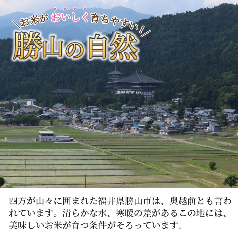 【令和8年産 新米】勝山産 コシヒカリ ちゃまごん米 精米 10kg | 米 コシヒカリ 新米 精米 令和8年産 福井県産 福井県 勝山市 ちゃまごん米 ブランド米 国産米 10kg お米 主食