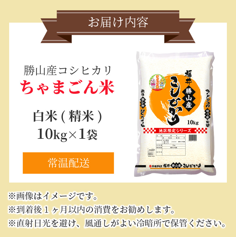 【令和8年産 新米】勝山産 コシヒカリ ちゃまごん米 精米 10kg | 米 コシヒカリ 新米 精米 令和8年産 福井県産 福井県 勝山市 ちゃまごん米 ブランド米 国産米 10kg お米 主食