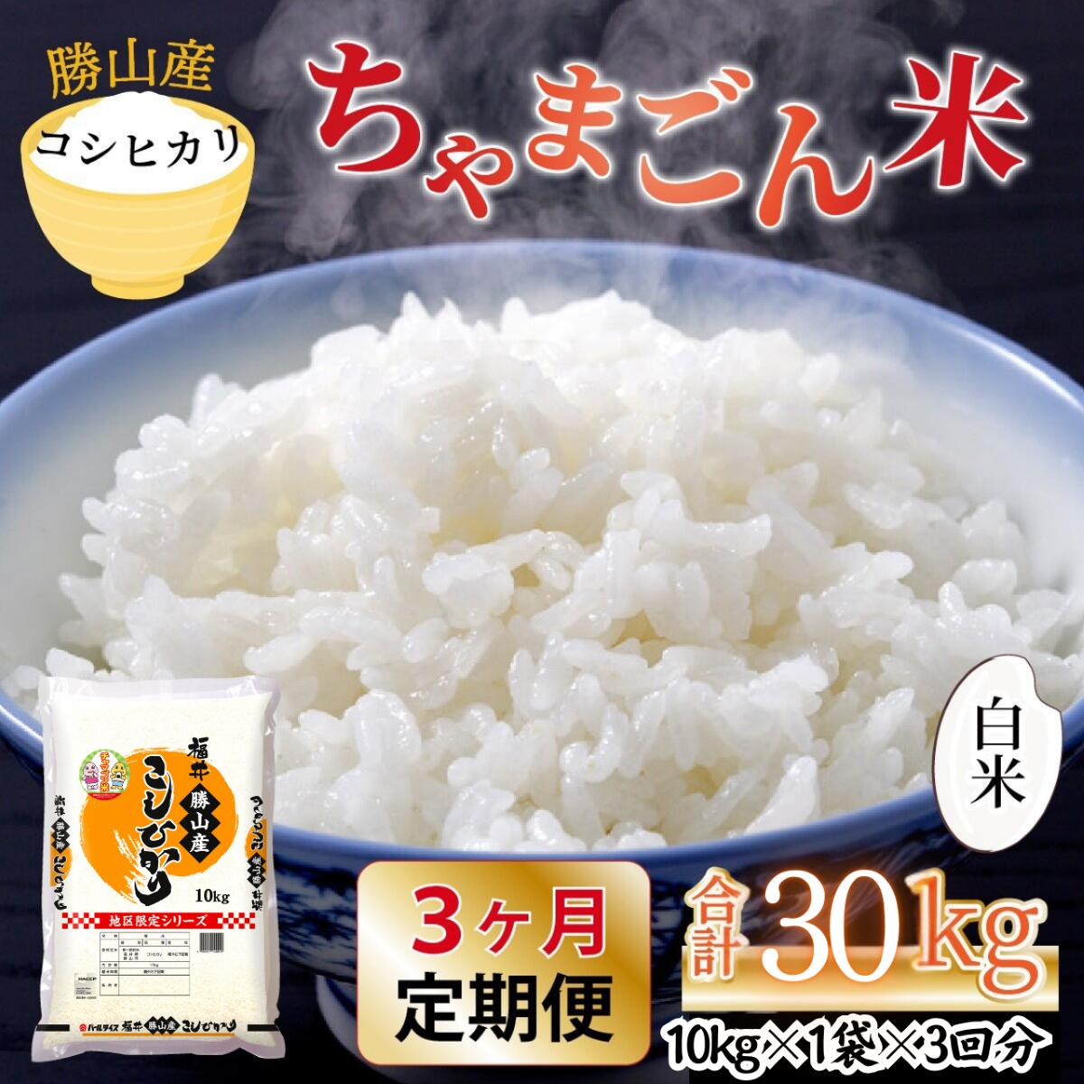 【令和8年産 新米】【定期便3回】勝山のお米 コシヒカリ 精米 10kg(計30kg) | 米 コシヒカリ 新米 精米 定期便 お米定期便 令和8年産 福井県産 福井県 勝山市 勝山のお米 ブランド米