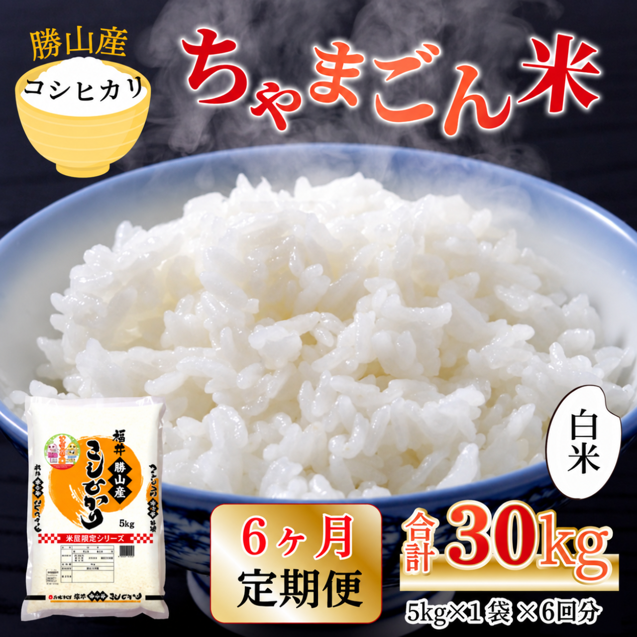 【令和8年産 新米】【定期便6回】勝山のお米 コシヒカリ 精米 5kg（計30kg） | 米 コシヒカリ 新米 精米 定期便 お米定期便 令和8年産 福井県産 福井県 勝山市 勝山のお米 ブランド米