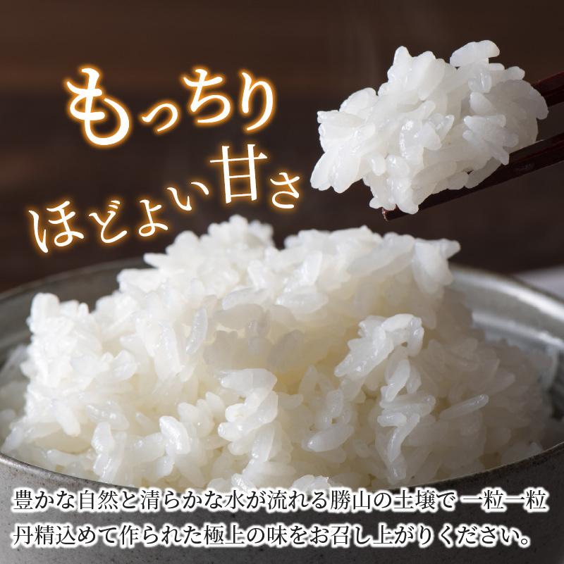 【令和8年産 新米】【定期便6回】勝山のお米 コシヒカリ 精米 10kg(計60kg) | 米 コシヒカリ 新米 精米 定期便 お米定期便 令和8年産 福井県産 福井県 勝山市 勝山のお米 ブランド米