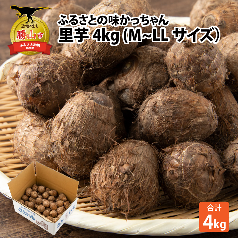 【ふるさと納税】里芋 4kg (M～LLサイズ) [A-020018]