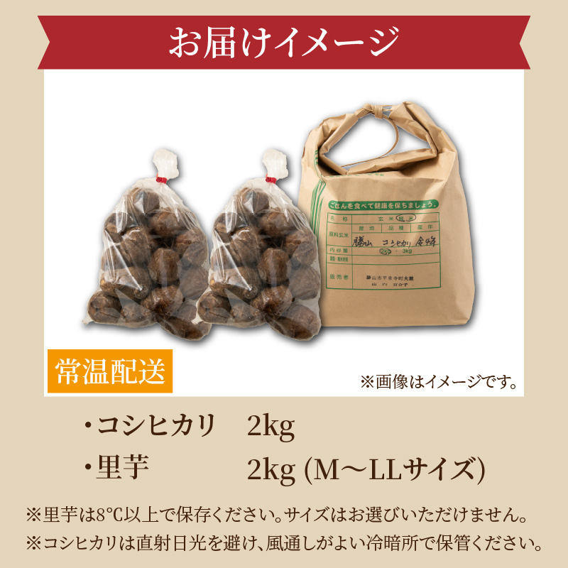 【ふるさと納税】【令和８年産】コシヒカリ2kg・里芋2kg (M～LLサイズ) [A-020019]