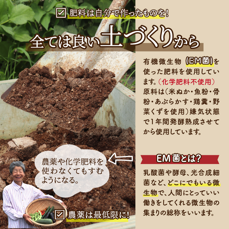 【ふるさと納税】【令和８年産】コシヒカリ4kg(2kg×２) [A-020020]