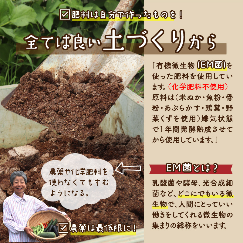 【ふるさと納税】【令和８年産】コシヒカリ2kgと季節の野菜5～１０種類 [A-020021]