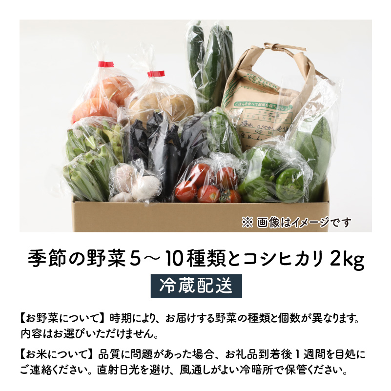 【ふるさと納税】【令和８年産】コシヒカリ2kgと季節の野菜5～１０種類 [A-020021]