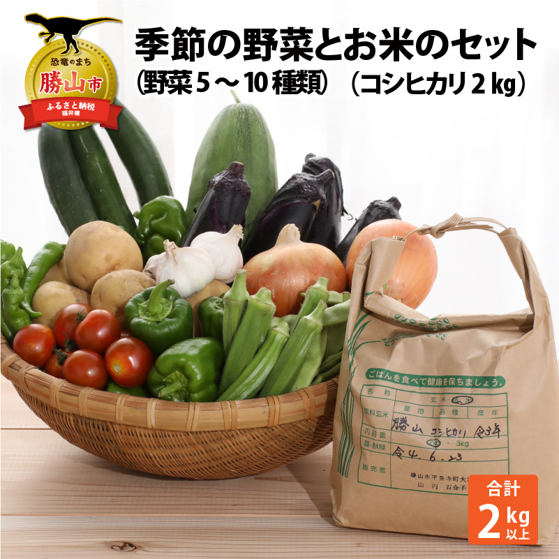 【ふるさと納税】【令和８年産】コシヒカリ2kgと季節の野菜5～１０種類 [A-020021]