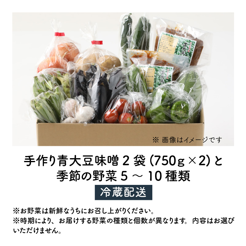 【ふるさと納税】手作り青大豆味噌2袋と季節の野菜5～10種類 [A-020022]