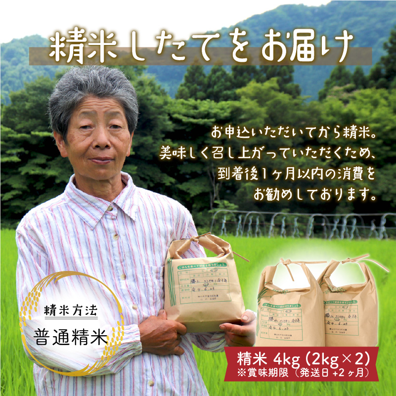 【ふるさと納税】【令和８年産】コシヒカリ8kg（2kg×４) [B-020008]
