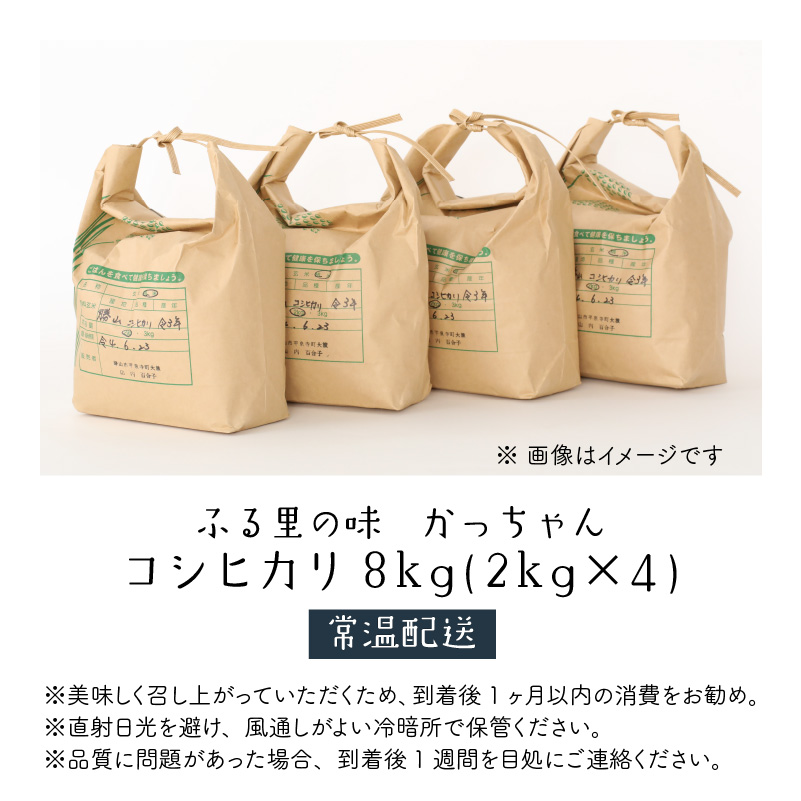 【ふるさと納税】【令和８年産】コシヒカリ8kg（2kg×４) [B-020008]