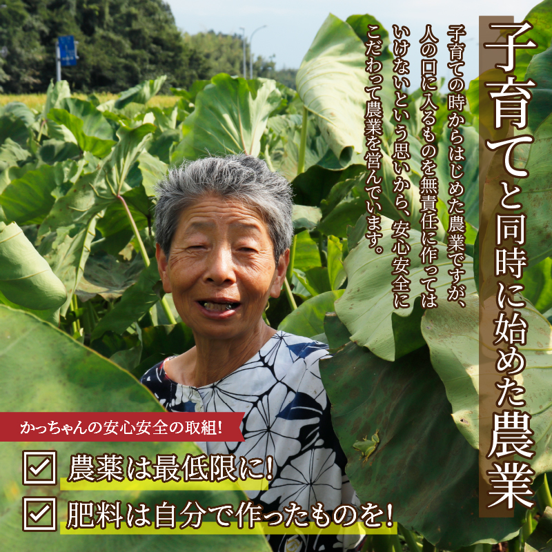 【ふるさと納税】【令和８年産】コシヒカリ４kg・里芋4kg(M～LLサイズ) [B-020009]