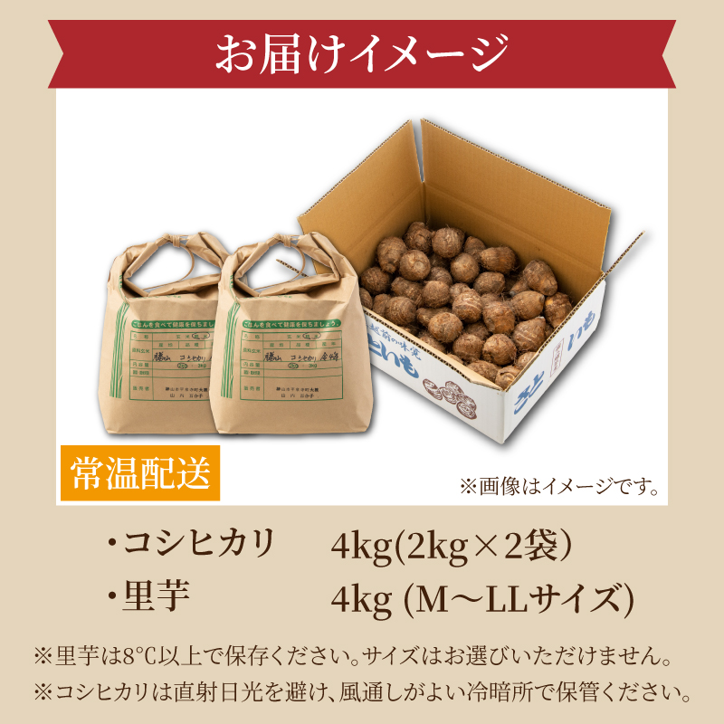 【ふるさと納税】【令和８年産】コシヒカリ４kg・里芋4kg(M～LLサイズ) [B-020009]