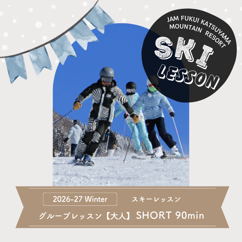 【ふるさと納税】【大人】【ショート90分】 スキー グループレッスン 受講券（1名様） [B-033006]