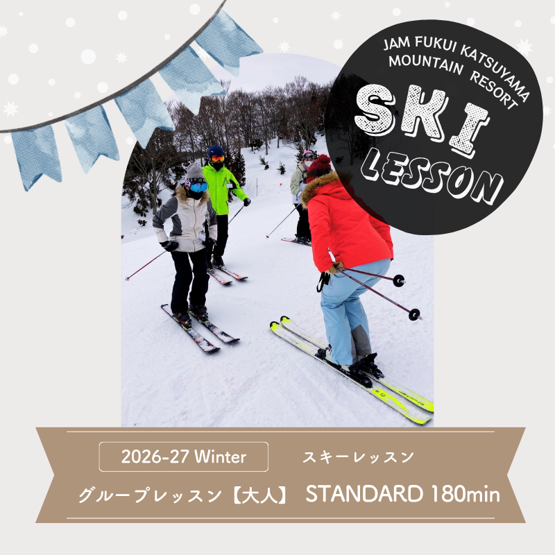 【ふるさと納税】【大人】【スタンダード180分】スキー グループレッスン 受講券（1名様） [D-033005]