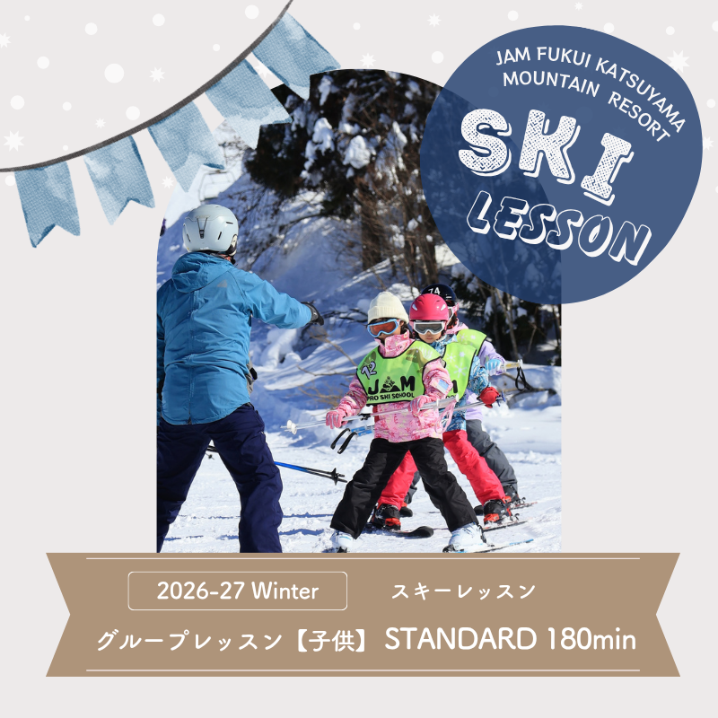 【ふるさと納税】【子供】【スタンダード180分】スキー グループレッスン 受講券（1名様） [D-033006]