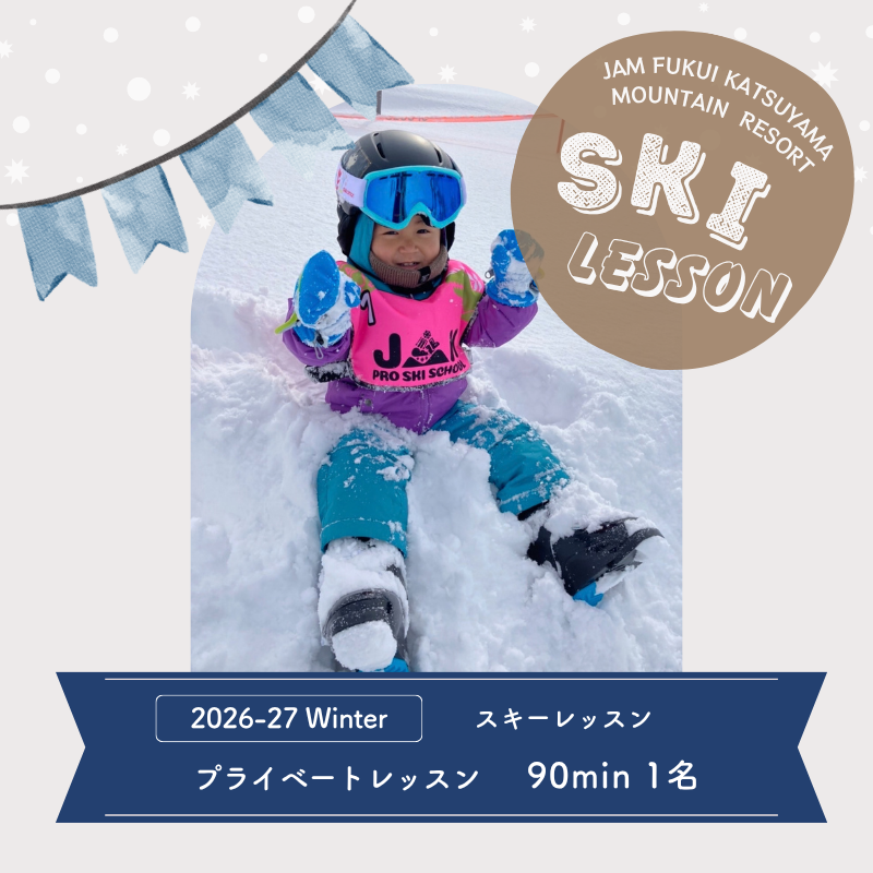 【ふるさと納税】スキースクール プライベートレッスン受講券(1名 90分) [H-033004]