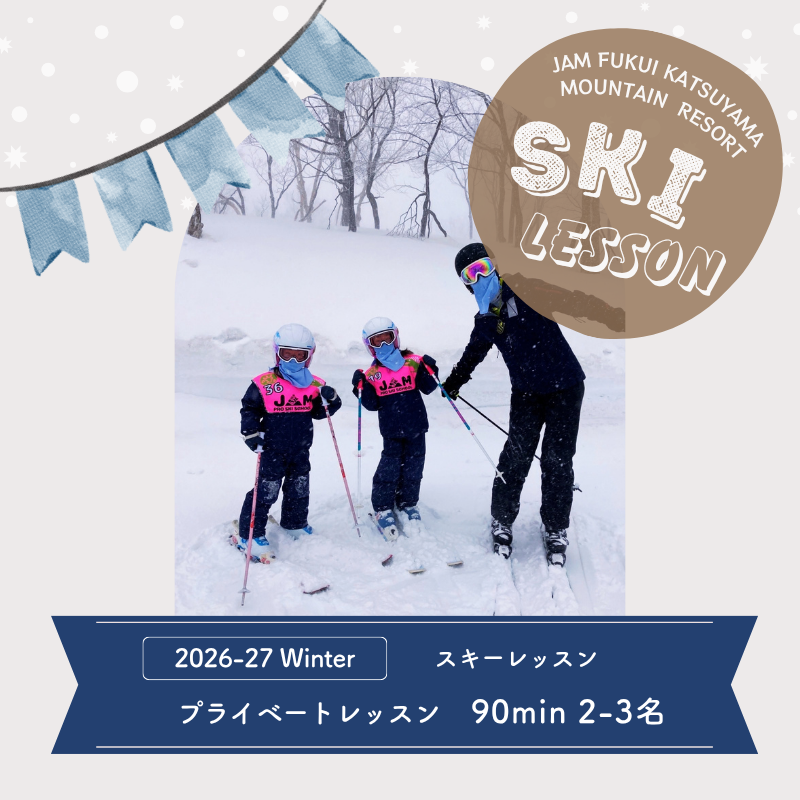【ふるさと納税】スキースクール プライベートレッスン受講券(2名-3名 90分) [J-033002]