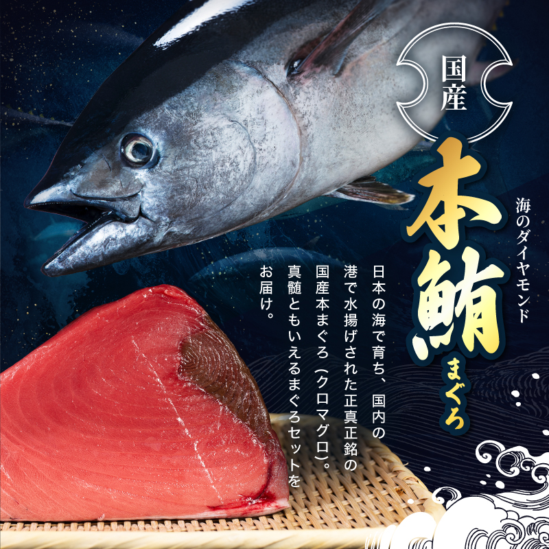 マグロ【冷蔵・指定日着可】国産 生本マグロ 赤身 370g 刺身用 本まぐろ 鮮度抜群 冷凍なし