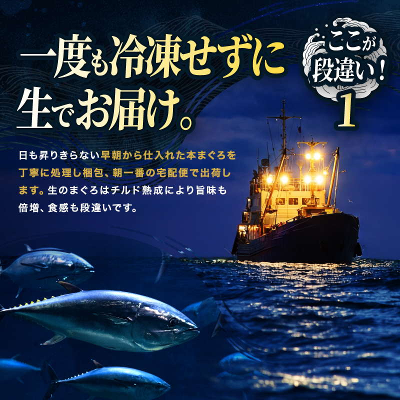 マグロ【冷蔵・指定日着可】国産 生本マグロ 赤身 370g 刺身用 本まぐろ 鮮度抜群 冷凍なし