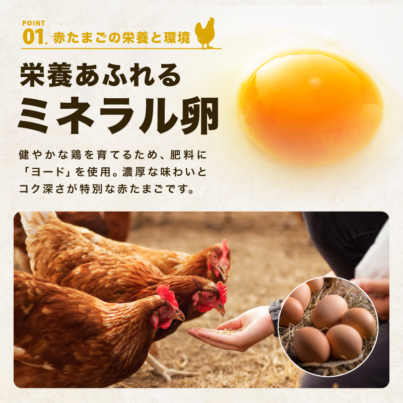 【ふるさと納税】越前赤玉子 30個・40個・50個｜ミネラル豊富な新鮮たまご  福井県越前市産 卵 玉子 ヨード