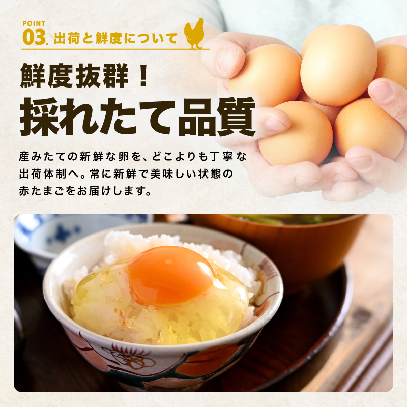 【ふるさと納税】越前赤玉子 30個・40個・50個｜ミネラル豊富な新鮮たまご  福井県越前市産 卵 玉子 ヨード