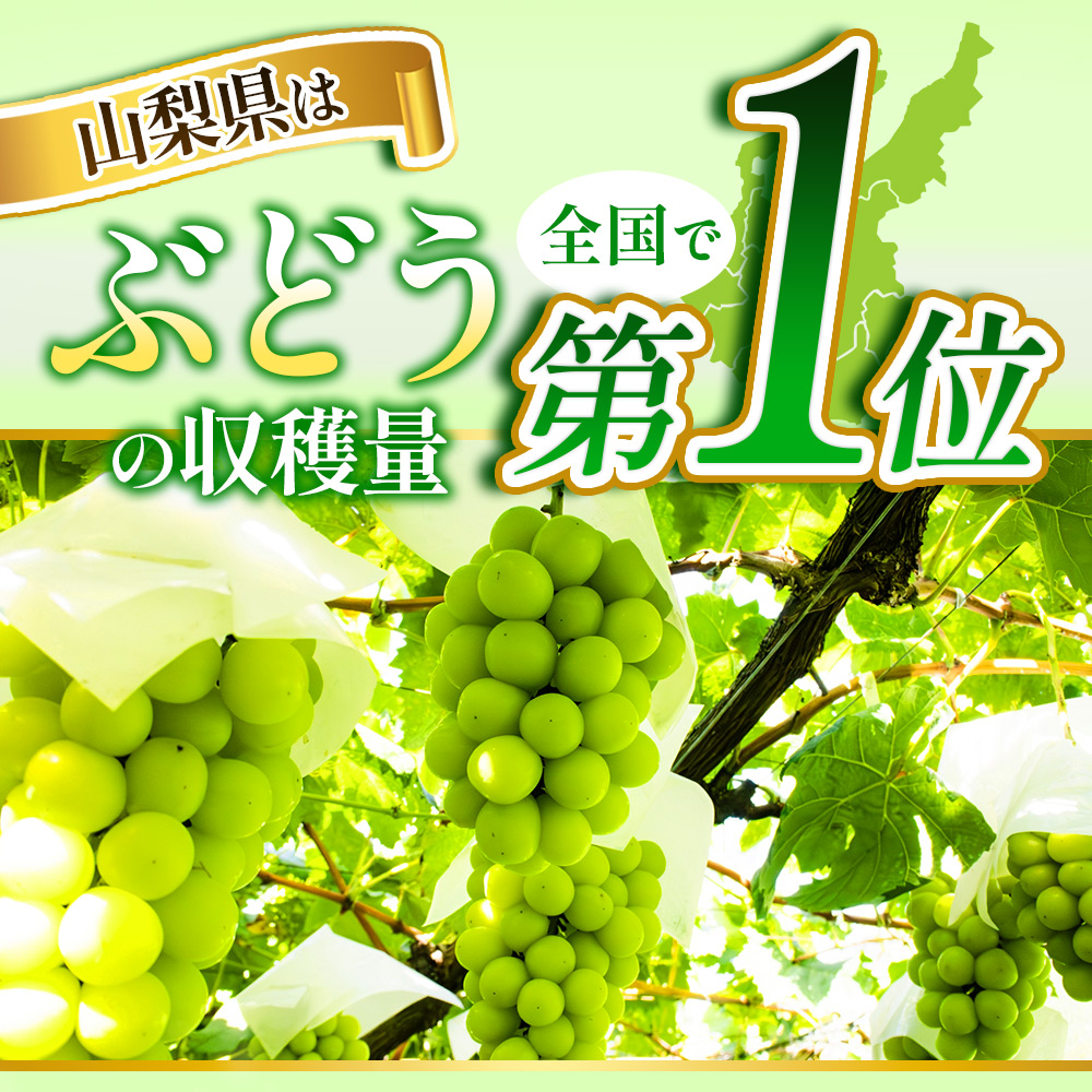 【2027年収穫分先行予約】産地直送シャインマスカット房【訳あり1.5kg/1.2kg】