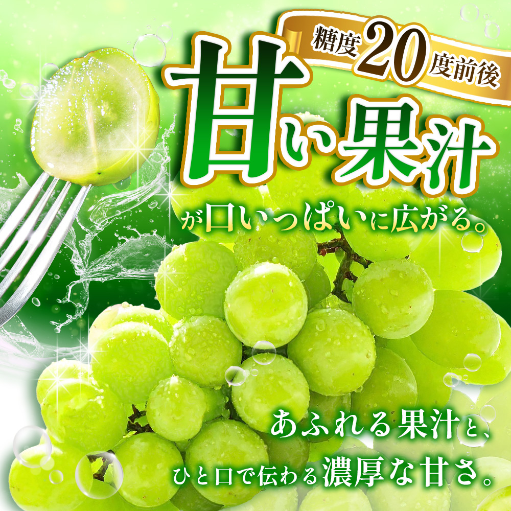 【2027年収穫分先行予約】産地直送シャインマスカット房【訳あり1.5kg/1.2kg】