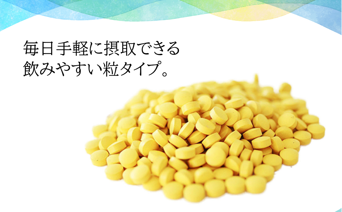 秋うこん600粒（2パック）+ミニボトル30粒入