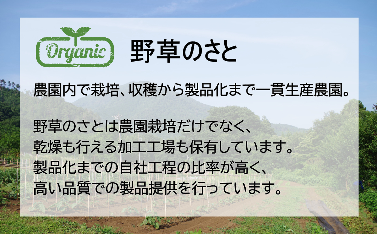 やーこん茶25包（3パック）