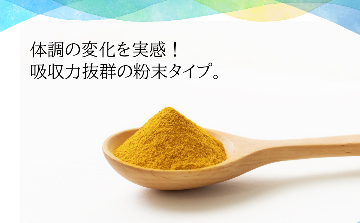 粉末秋うこん100ｇ×2袋