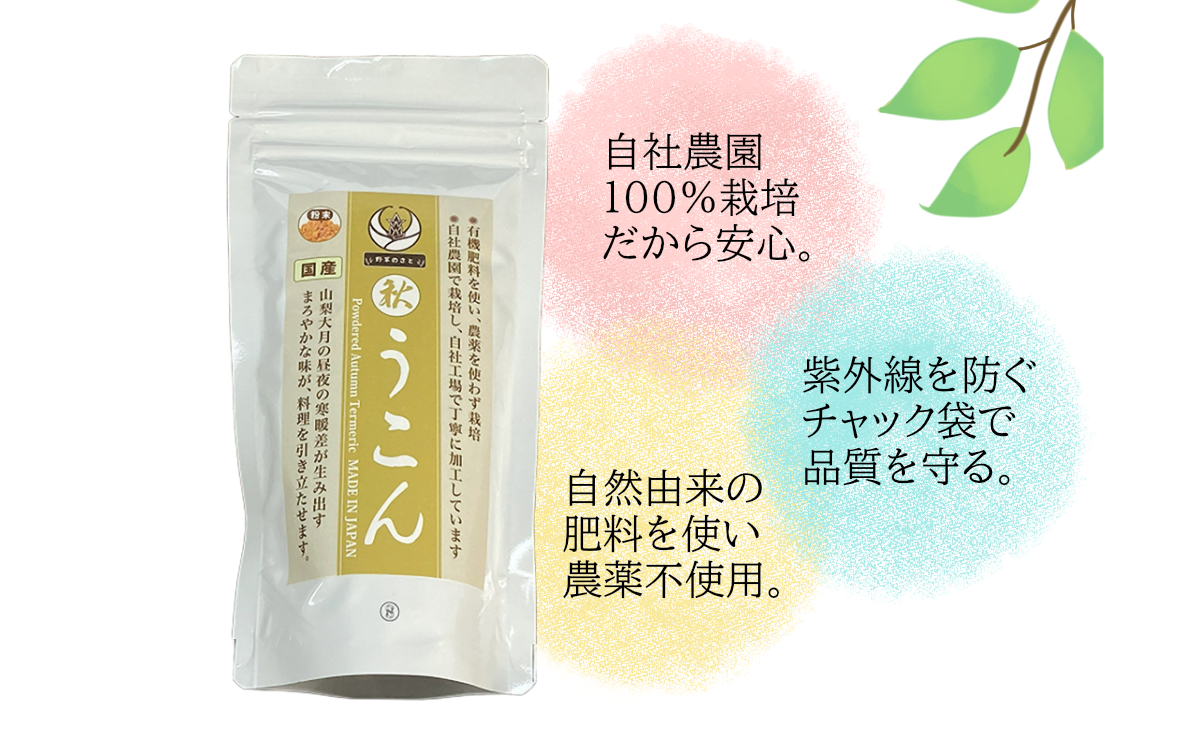 粉末秋うこん100ｇ×2袋