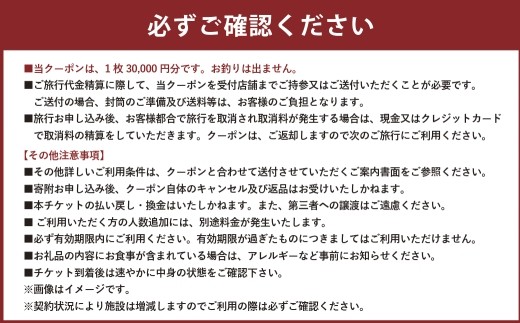 山梨県身延町 日本旅行 地域限定旅行クーポン 300,000円分 旅行 観光 ホテル 旅館 宿泊 クーポン 地域限定 山梨県 身延町