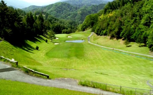 富士川カントリークラブ 利用助成券 3,000円 × 2枚 ゴルフ ゴルフ場 ゴルフプレー ゴルフコース 施設利用券 施設利用チケット ゴルフ利用券 券 チケット 利用券 プレー券 ラウンド
