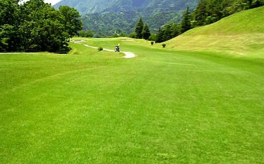 富士川カントリークラブ 利用助成券 3,000円 × 2枚 ゴルフ ゴルフ場 ゴルフプレー ゴルフコース 施設利用券 施設利用チケット ゴルフ利用券 券 チケット 利用券 プレー券 ラウンド