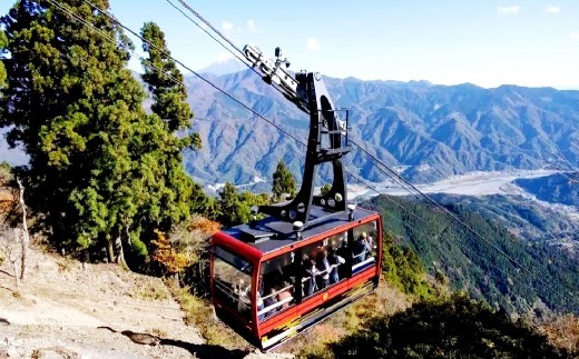 身延山 ロープウェイ 大人 往復 乗車券 2枚 ゴンドラ ロープウェー 利用券 乗車 乗り物 チケット 券 体験 観光 旅行 絶景 自然